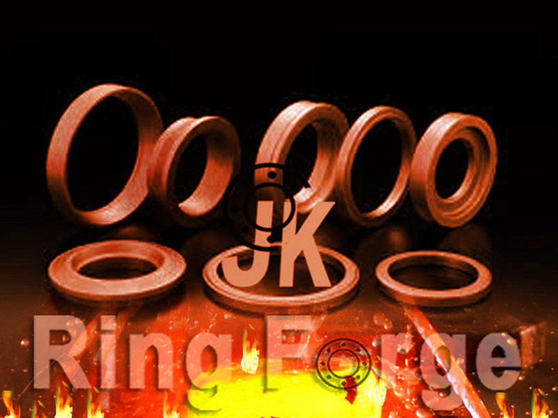 Forged SS Forge Ring Manufacturer